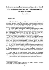 Japan Earthquake and Tsunami 2011 Term Paper